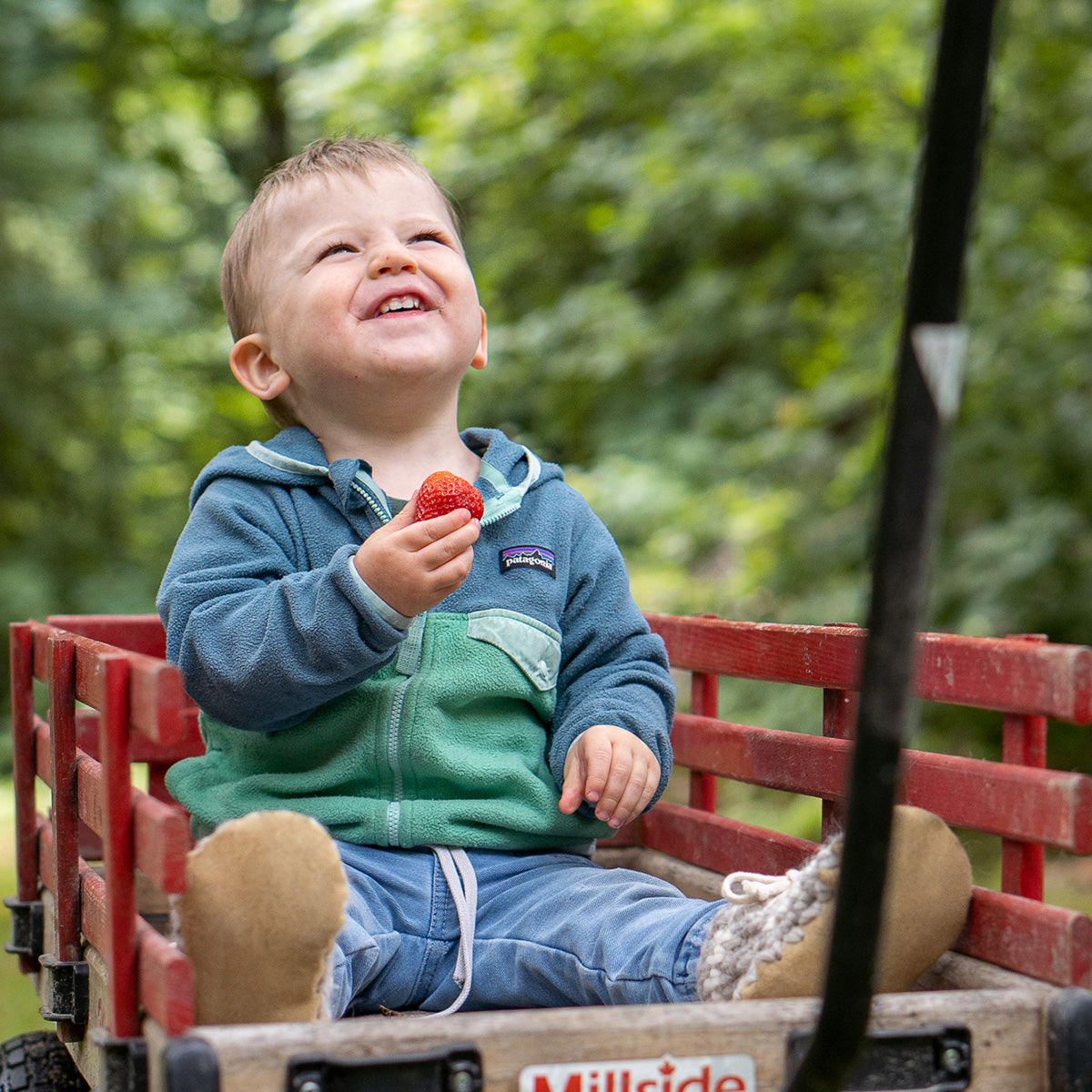 Little boy eating strawberry on wagon wearing Padraig Slippers
